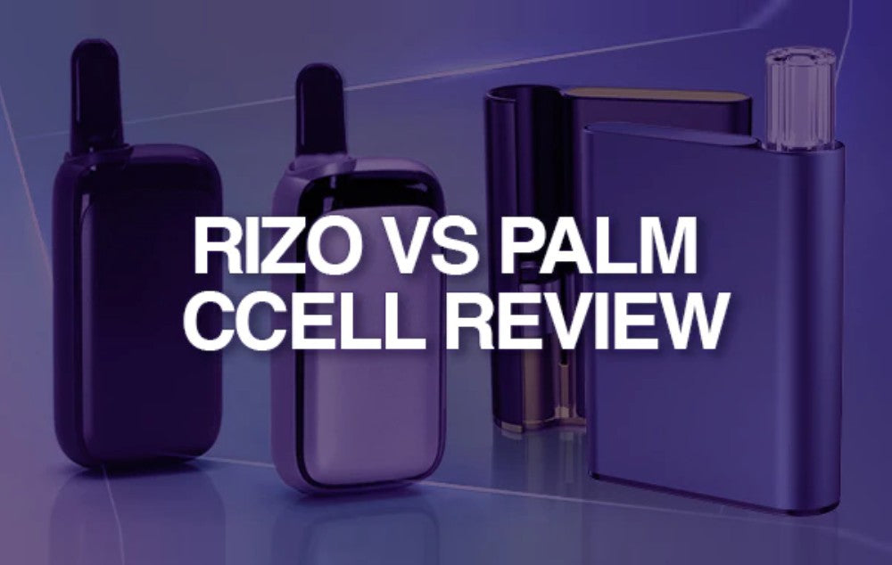CCELL Rizo and Palm Review